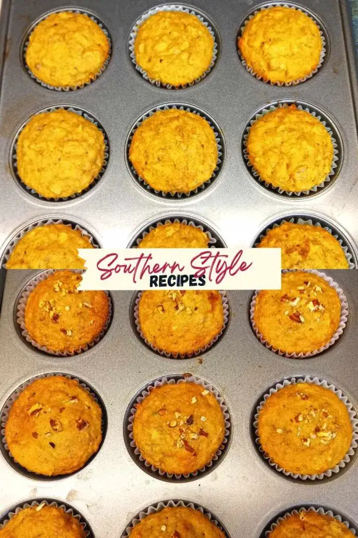 fig oatmeal muffins with and without nuts
