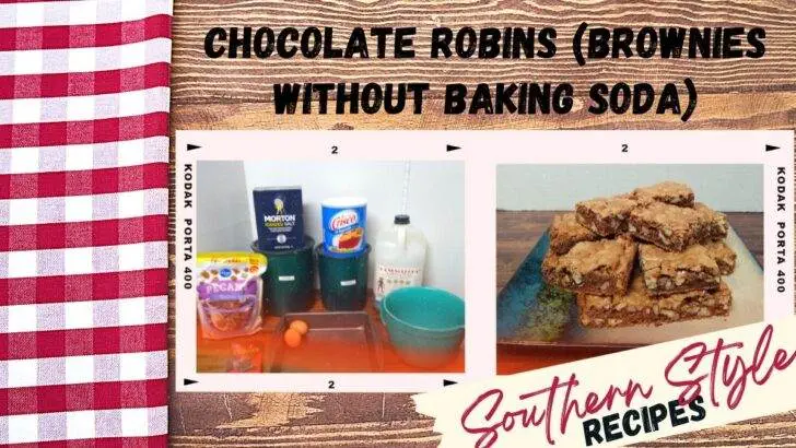 Chocolate Robins (Brownies without Baking Soda)