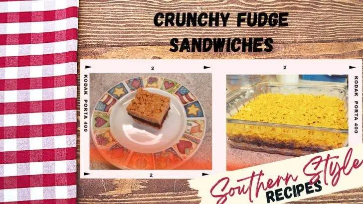 Crunchy Fudge Sandwiches Recipe banner